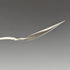 Around 1905 British antique silver plate jam spoon pair in case